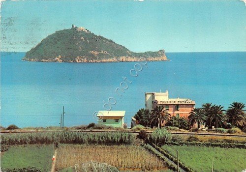 Cartolina - Albenga - Villa Ramella - Gallinara - 1962