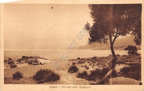 Cartolina - Assisi - Santuario S. Damiano - Clarisse - … | Immagine principale