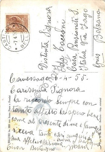 Cartolina - Belluno panorama Fiume Piave Prealpi 1955 | Immagine Gallery 2