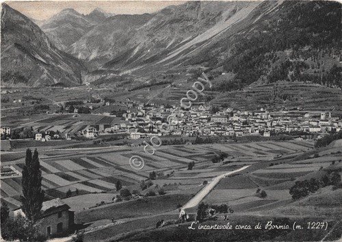 Cartolina - Bormio panorama della conca 1951 | Immagine principale