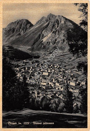 Cartolina - Bormio Panorama della conca dall'alto