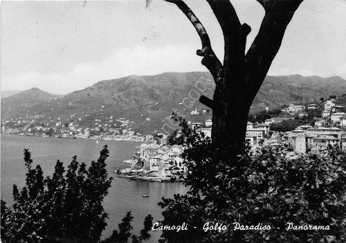 Cartolina - Camogli - Panorama - 1958