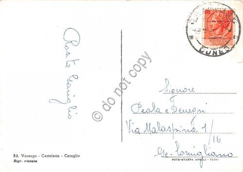 Cartolina - Caraglio panorama | Immagine Gallery 2