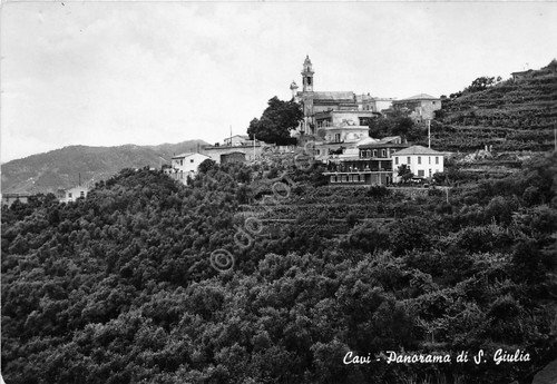 Cartolina - Cavi - Panorma di S. Giulio - 1968
