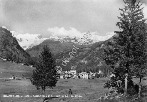 Cartolina - Champoluc Panorama e ghiacciai del Rosa