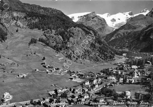 Cartolina - Champoluc Panorama Monte Rosa 1958 | Immagine principale