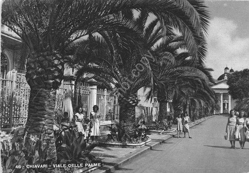 Cartolina - Chiavari - Viale delle Palme - 1951