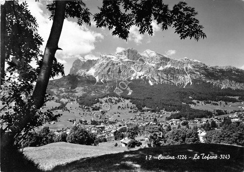 Cartolina - Cortina Panorama Tofane 1966 (Belluno) | Immagine principale