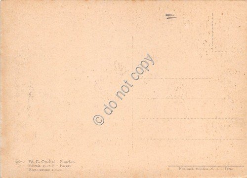 Cartolina - Faenza Fontana e Cattedrale