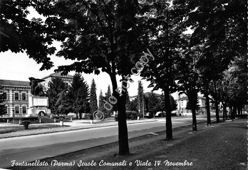 Cartolina - Fontanellato Scuole Comunali e Viale IV Novembre