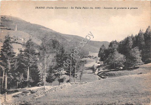 Cartolina - Fraine Valle Palot Praterie e pinete