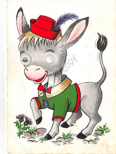 Cartolina - Illustrata - Umoristica - Asino - Somaro - … | Immagine principale