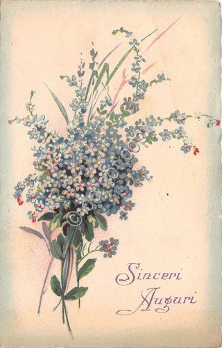 Cartolina - illustrata augurale Sinceri Auguri mazzo fiori non ti …
