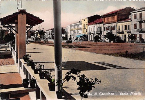 Cartolina - Lido di Camaiore - Viale Pistelli - 1954