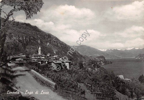 Cartolina - Limonta lago di Lecco panorama 1954 | Immagine principale