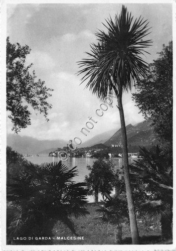 Cartolina - Malcesine panorama 1953