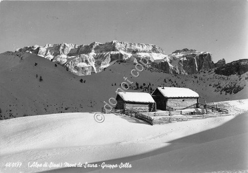 Cartolina - Mont de Seura Gruppo Sella Alpe di Siusi …