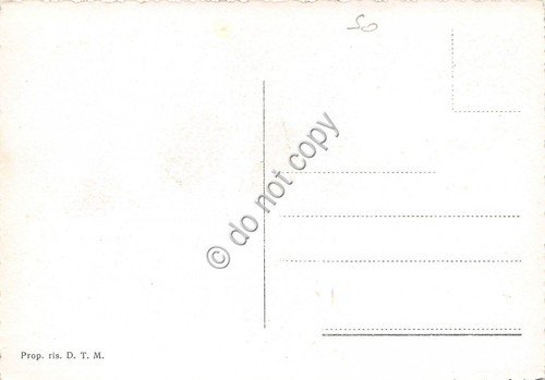 Cartolina - Morbegno panorama | Immagine Gallery 2
