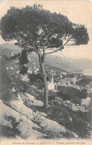 Cartolina - Nervi - Panorama con pino - 1906 | Immagine principale