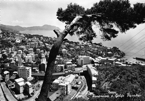 Cartolina - Nervi - Panorama dall'alto - NVG