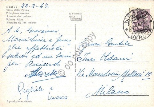 Cartolina - Nervi Viale delle Palme 1967 (Genova)