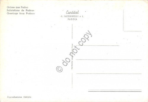 Cartolina - Padova vedutine