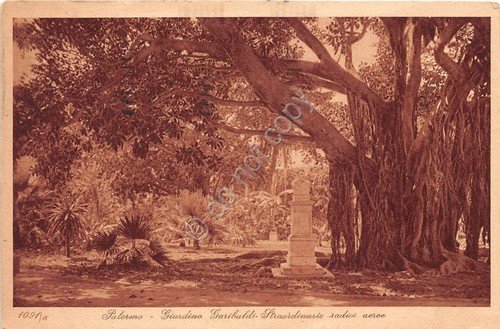 Cartolina - Palermo - Giardino Garibaldi - Radici aeree - … | Immagine principale
