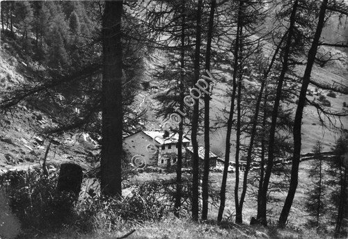 Cartolina - Ponte di Legno Baita San Francesco 1973