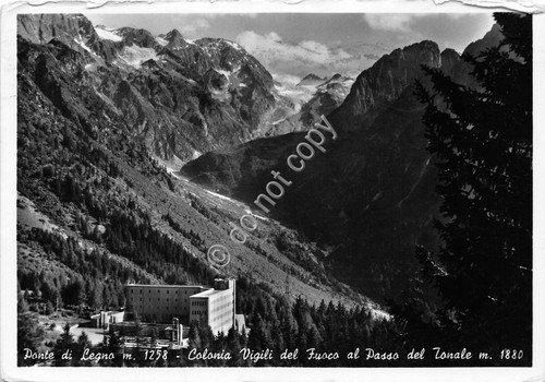 Cartolina - Ponte di Legno Colonia Vigili del Fuoco al … | Immagine principale
