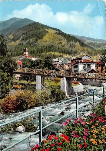 Cartolina - Ponte di Legno Lungo il fiume Oglio 1959