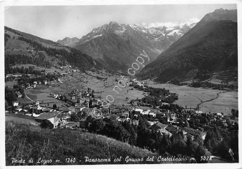 Cartolina - Ponte di Legno panorama 1954