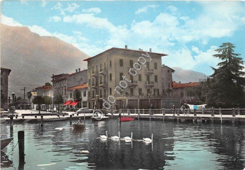 Cartolina - Porto d'Iseo panorama parziale con cigni | Immagine principale