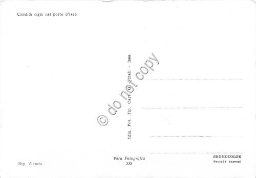 Cartolina - Porto d'Iseo panorama parziale con cigni | Immagine Gallery 2