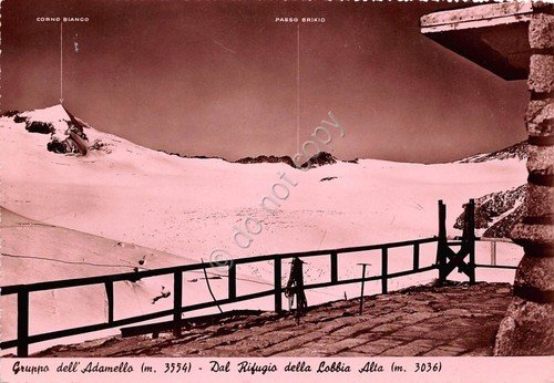 Cartolina - Postcard - Adamello - dal Rifugio della Lobbia … | Immagine principale