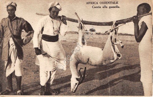 Cartolina - Postcard - Africa Orientale - Caccia alla gazzella … | Immagine principale