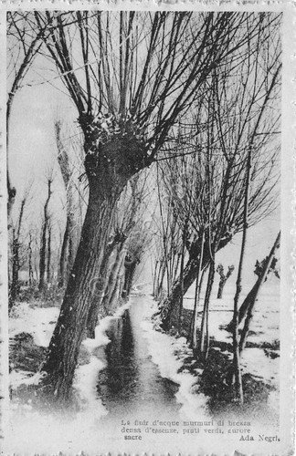 Cartolina - Postcard - alberi e neve - poesia A. … | Immagine principale