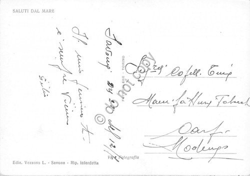 Cartolina - Postcard - Albisola panorama spiaggia da arco | Immagine Gallery 2