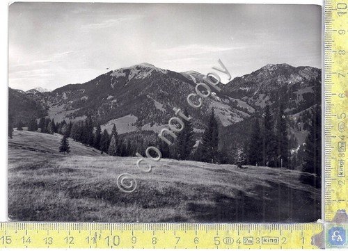Cartolina - Postcard - Alpe di Ugovizza - Panorama - … | Immagine principale