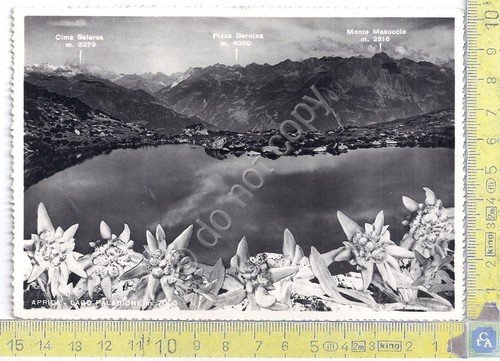 Cartolina - Postcard - Aprica - Lago Palabione - anni … | Immagine principale