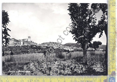 Cartolina - Postcard - Assisi - Panorama - 1961 (Perugia)