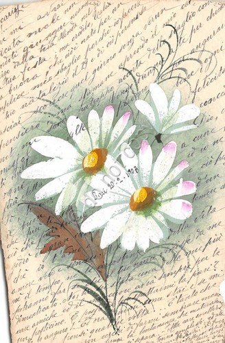 Cartolina - Postcard - Augurale - Margherite - Dipinte - … | Immagine principale