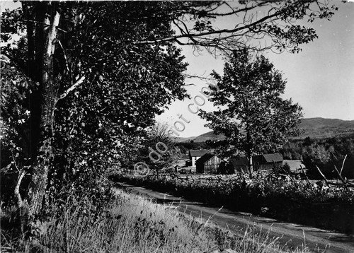 Cartolina - Postcard - Aviano - Udine - Panorama - …