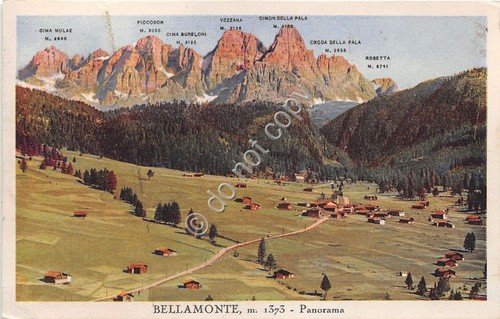 Cartolina - Postcard - Bellamonte - Panorama - 1926