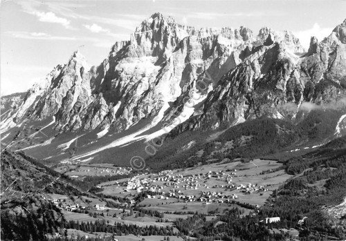 Cartolina - Postcard - Borca di Cadore - Istituto Dolomiti …
