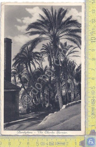 Cartolina - Postcard - Bordighera - Via Charles Garnier - … | Immagine principale