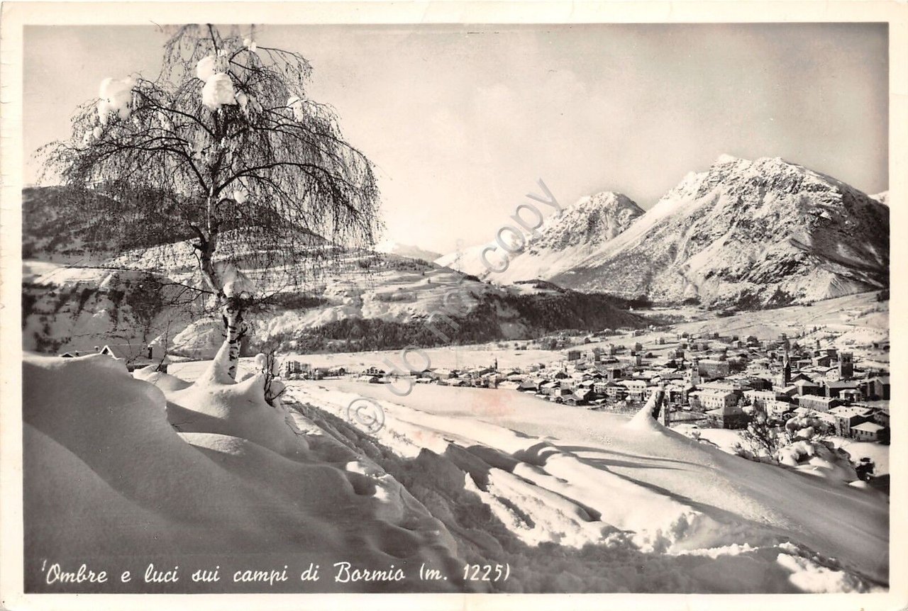 Cartolina - Postcard - Bormio - campi da sci - …