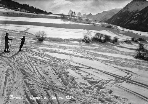 Cartolina - Postcard - Bormio - Campi di sci - … | Immagine principale
