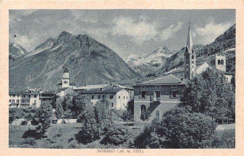 Cartolina - Postcard - Bormio - Panorama - anni '30