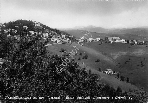 Cartolina - Postcard - Boscochiesanuova - Villaggio Biancaneve - 1953 | Immagine principale