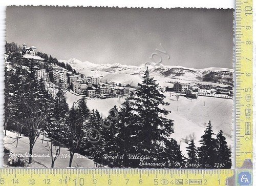 Cartolina - Postcard - Boscochiesanuovo - Panorama - 1954